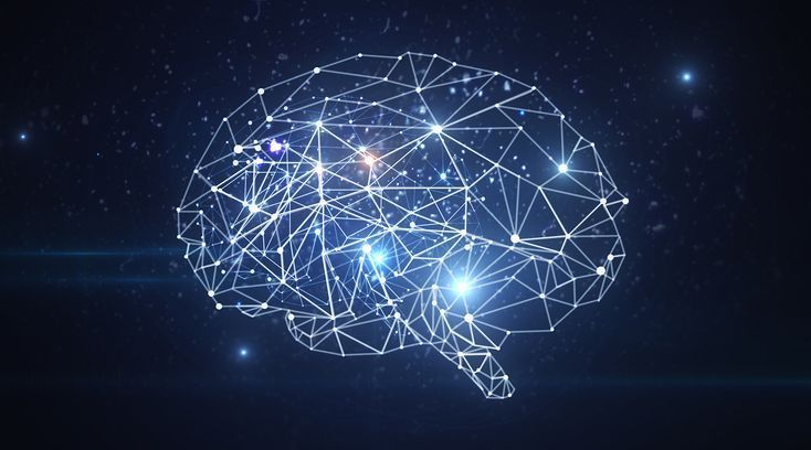 Ship Inspection Services